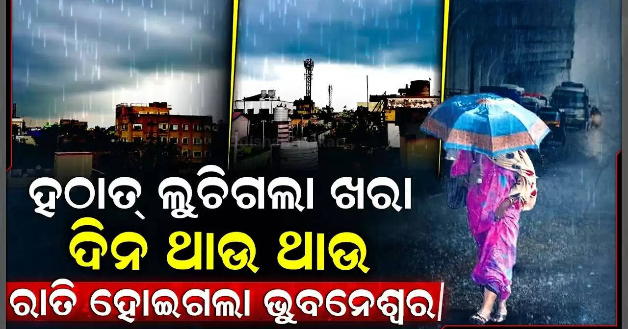 Special report 