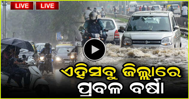Special report 