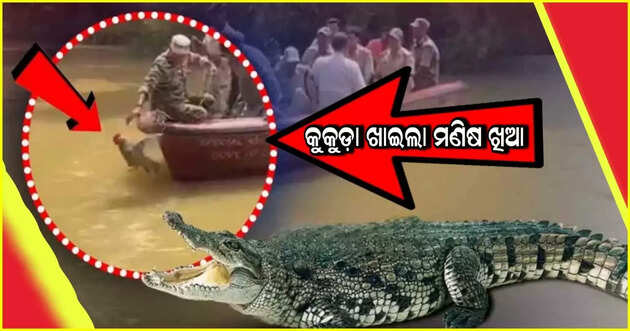Viral news 