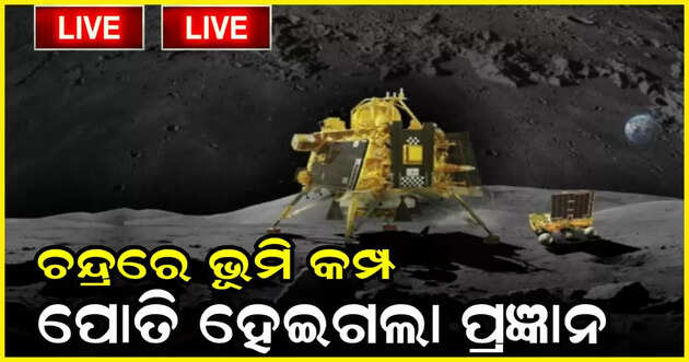 Viral news 