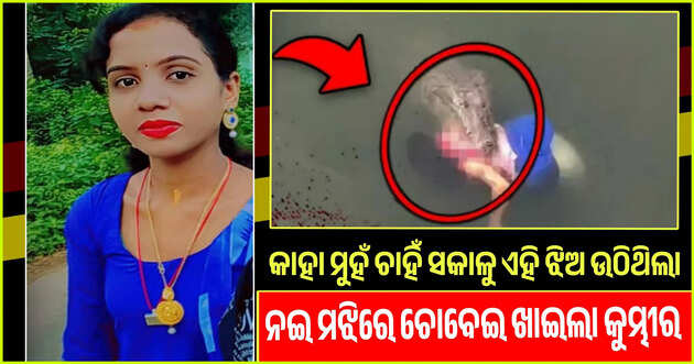 Special report 