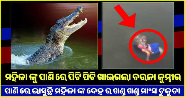 Special report 